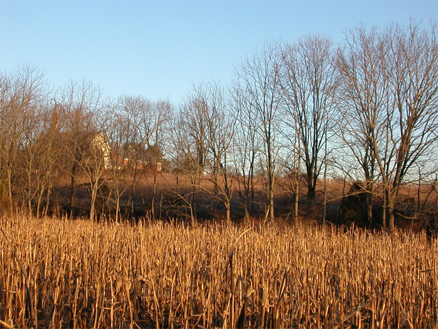 open space Markel View open space Markel View