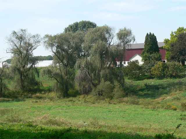 open space WCO barn open space WCO barn